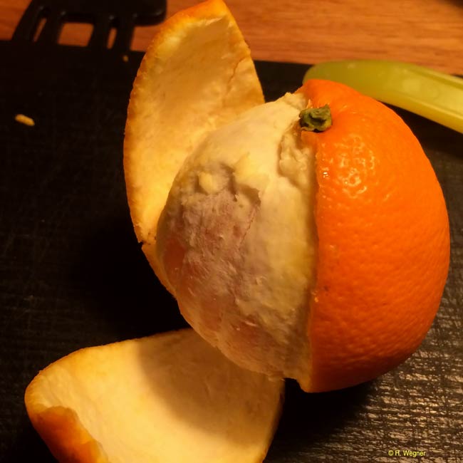 Orange für Orangeatat schälen