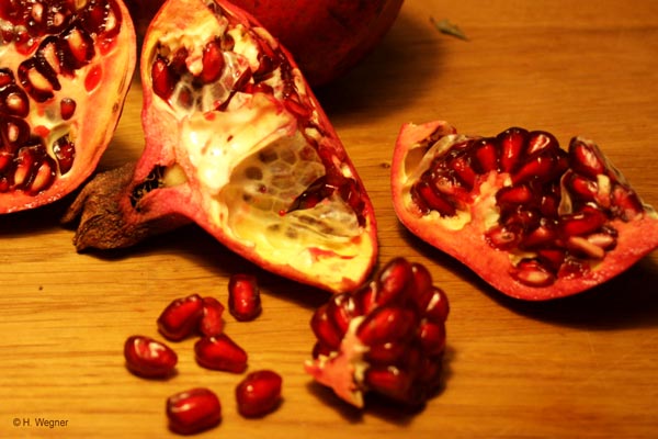 Punica granatum - geöffnete Frucht und Samen